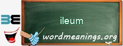 WordMeaning blackboard for ileum